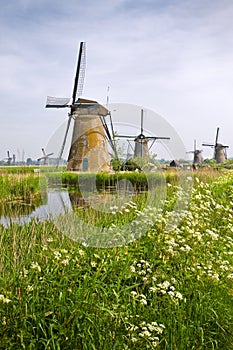 Windmills at Kinderdijk, the Netherlands in spring