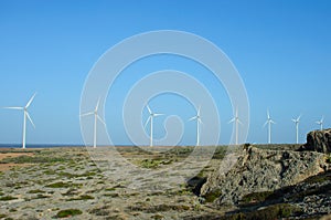 Windmills landcape photo