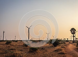 Windmills leading with rural road in morning