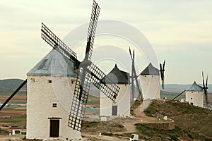 Windmills lined up