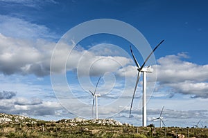 Windmills in the Maldonado Department, Uruguay photo