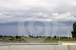 Windmills at meadows in the Zuidplaspolder