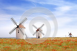 Windmills in Mota del Cuervo. photo