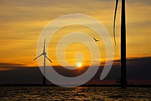 Windmills on open water for green energy on the IJsselmeer seen the inland sea of the Netherlands.