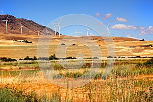 Windmills Over Countryside