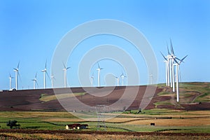 Windmills Over Farm