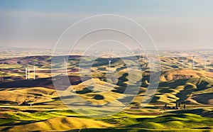 Windmills over rolling hills in Palouse