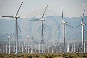 The windmills of Palm Springs in California