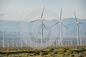 The windmills of Palm Springs in California