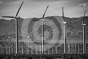 The windmills of Palm Springs in California