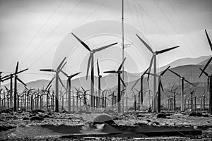 The windmills of Palm Springs in California