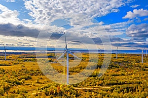 The Windmills park of Paldiski. Wind turbine farm near Baltic sea. Autumn landscape with windmills, orange forest and