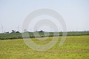 Windmills power plant in rural landscape. Wind turbine farm for electric power production. Windmills for electric power production