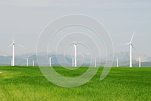 Windmills on prairie