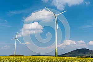 Windmills in a rapeseed field
