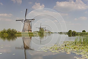 Windmills on river