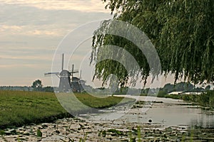 Windmills and river