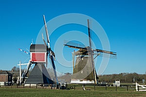 Windmills in a rural landscape