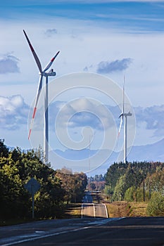 Windmills on the side of the road photo