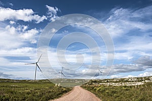 Windmills on the Sierra Carape, Uruguay photo
