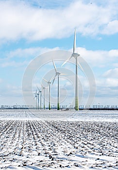Windmills in the snowy landscape of flevoland