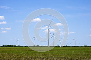 Windmills in the Springtime