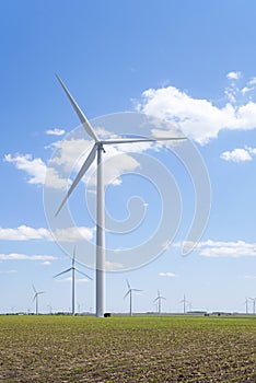 Windmills in the Springtime