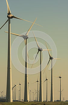 Windmills in sun light, Groningen, Holland