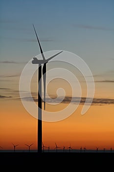 Windmills at Sunrise