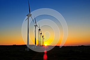 Windmills in the sunset