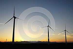 Windmills at sunset