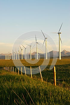 Windmills at sunset