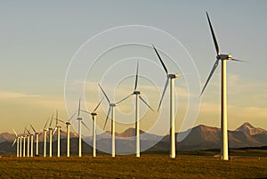 Windmills at sunset