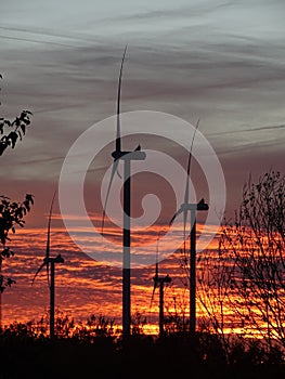 Windmills at sunset over land