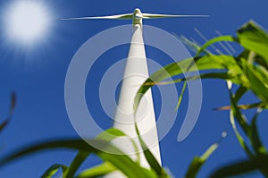 Windmills to generate wind power