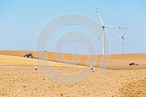 Windmills and tractor on the field with storks