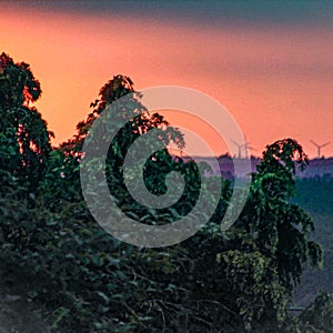 Windmills view sunset trees background