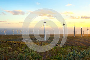 Windmills at wind farm in Chile