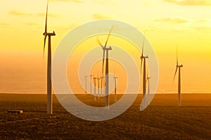 Windmills at wind farm in Coquimbo in Chile at sunset