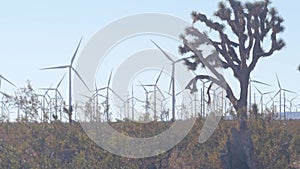 Molinos de viento sobre el viento viento molino energía. desierto Estados Unidos de América 