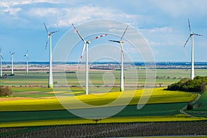 Windmills in yellow field