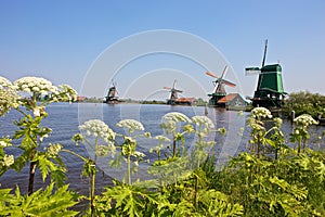 Windmills at Zaanse Schans