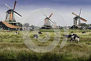 Windmills at Zaanse Schans in Holland