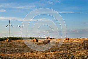 Windmils in the field