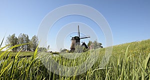 Windmolen, Windmill