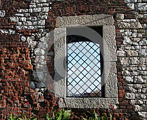 Window