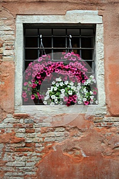 Window