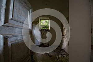 A window in an abandoned Stalin-era mansion