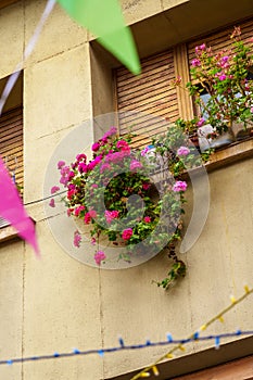 Window of an ancient residential building with flowers, festive flags and garlands