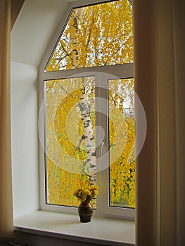 Window in Autumn photo